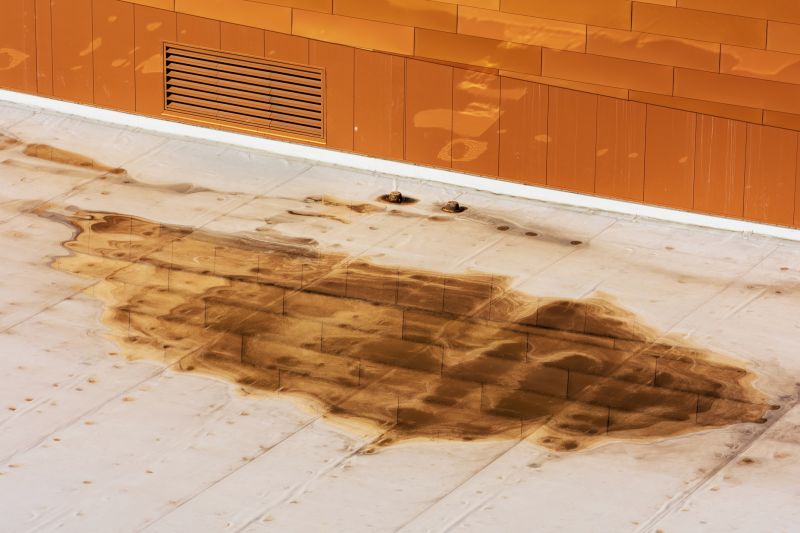 Roof Leak Identification